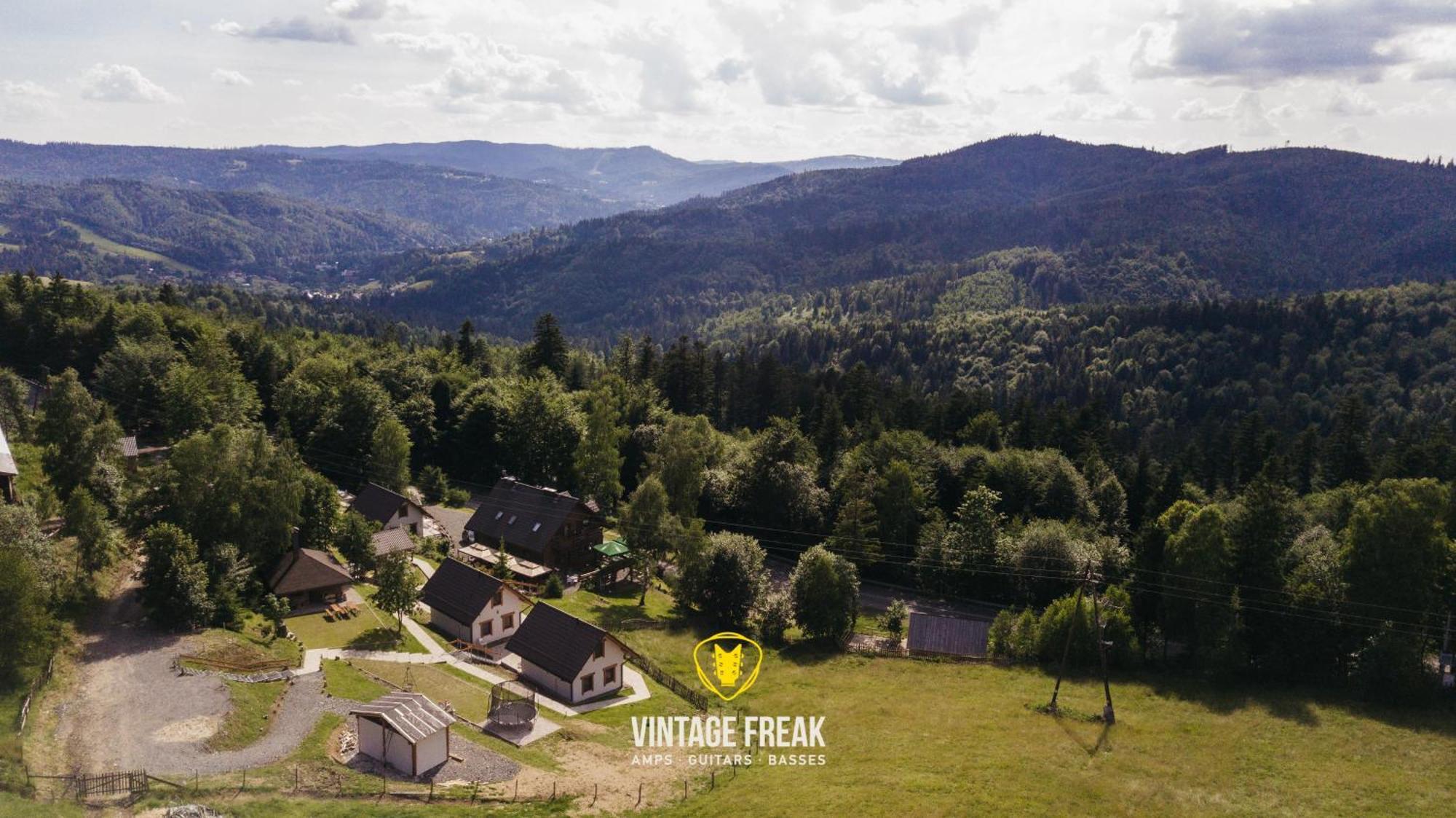 Domki - Zajazd Zielenska Polana Weichsel Exterior foto